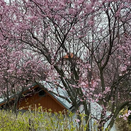 شقة Zloty Zakatek *