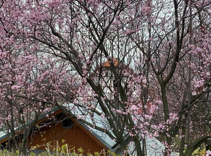 Apartmán Zloty Zakatek *